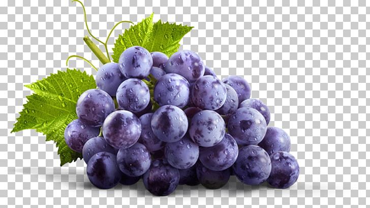 Juice Fizzy Drinks Concord Grape Gelatin Dessert PNG, Clipart, Bilberry, Blueberry, Dietary Fiber, Drink, Fizzy  Free PNG Download