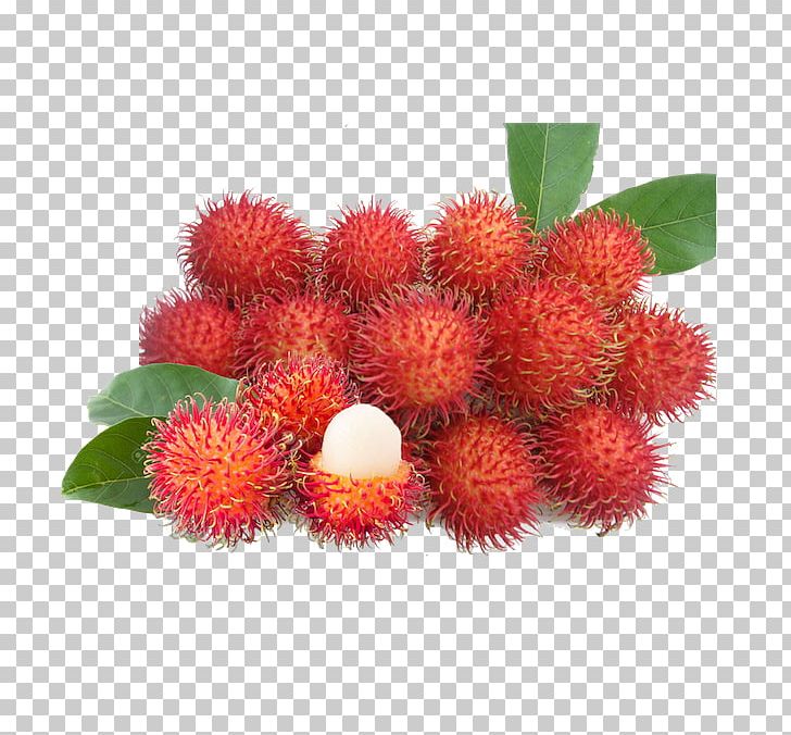 Rambutan Tropical Fruit Food Pineapple PNG, Clipart, Apple, Canning, Dragon Fruit, Dried Fruit, Food Free PNG Download