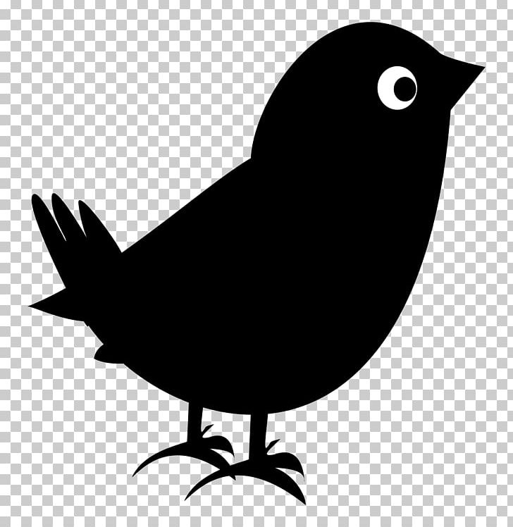 Blackbird Ventures Common Blackbird PNG, Clipart, Animals, Art, Artwork, Australia, Beak Free PNG Download