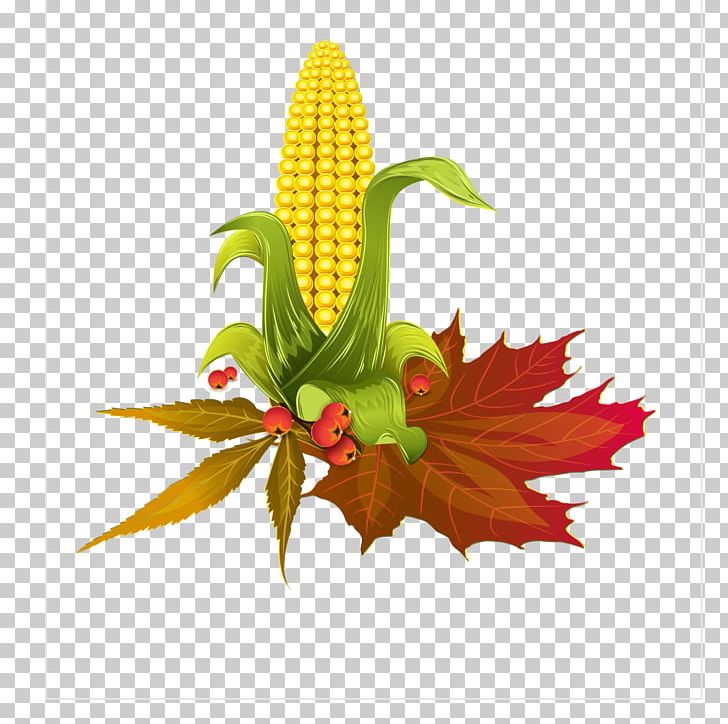 Food Leaf Sticker PNG, Clipart, Baogu, Blog, Cartoon, Cartoon Corn, Corn Free PNG Download