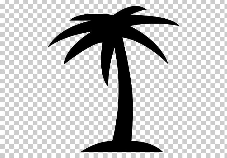 Woody Plant Tree Arecaceae Branch PNG, Clipart, Arecaceae, Arecales, Black And White, Branch, Flower Free PNG Download