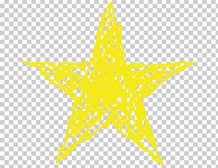 Yellow Illustration Color Graphics Star PNG, Clipart, Angle, Color, Cup With Stem, Gold, Invertebrate Free PNG Download