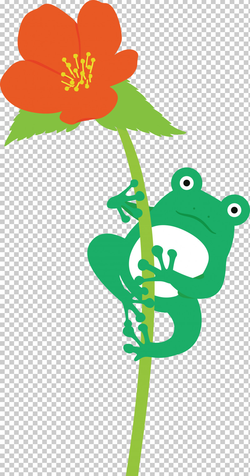 Flower Plant Stem Leaf Petal Tree Frog PNG, Clipart, Cartoon, Flower, Frog, Green, Leaf Free PNG Download