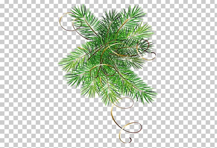 Christmas Decoration New Year Holiday PNG, Clipart, Blog, Branch, Christmas, Christmas Decoration, Christmas Eve Free PNG Download