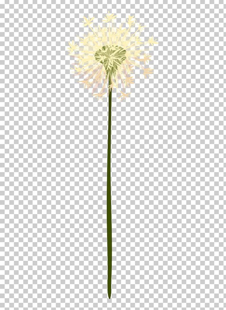 Floral Design Oxeye Daisy Cut Flowers Common Daisy Petal PNG, Clipart, Daisy, Daisy Family, Dandelion, Decoration, Diagram Free PNG Download