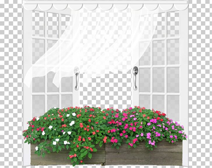Grow Light Flower Ornamental Plant PNG, Clipart, Black White, Continental, Continental Window, Creative, Creative Window Free PNG Download