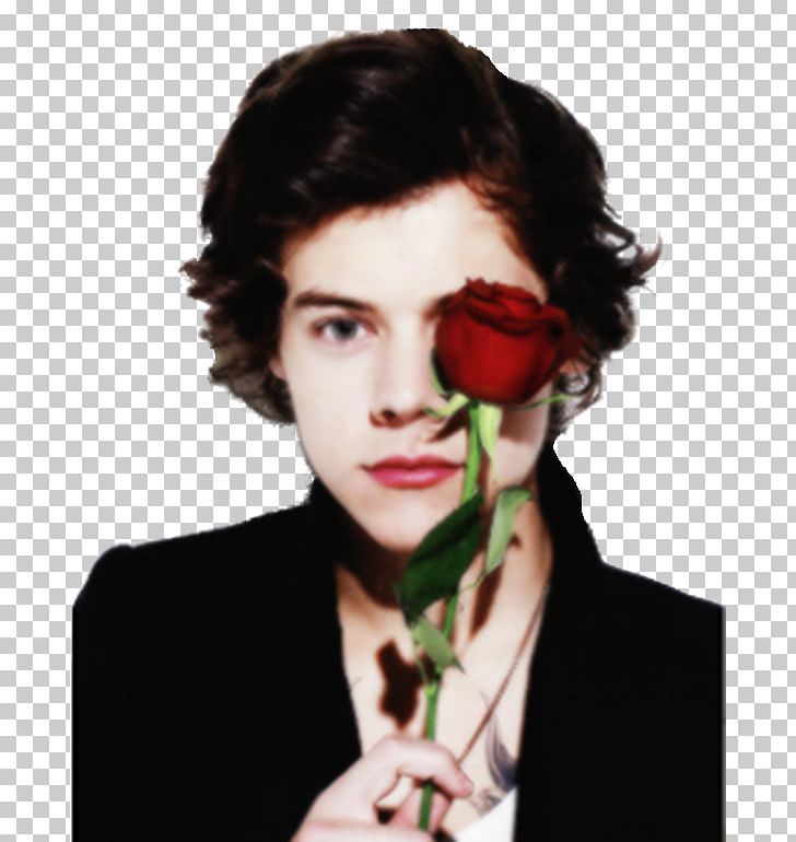 Harry Styles One Direction Photo Shoot Boy Band PNG, Clipart, Black Hair,  Boy Band, Brown Hair,