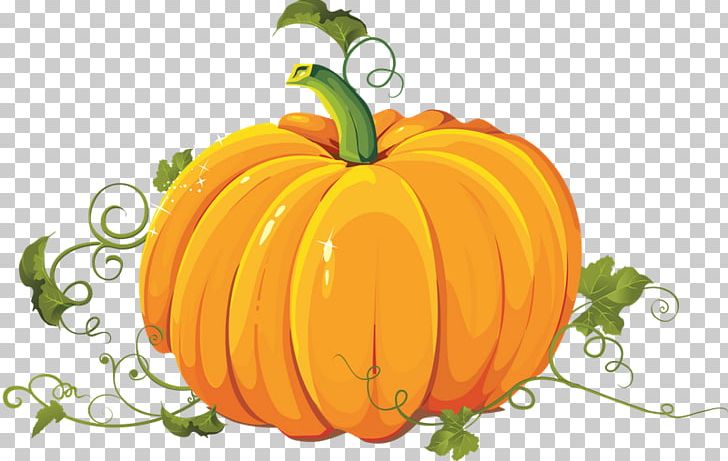 Pumpkin Pie Cucurbita Pepo PNG, Clipart, Calabaza, Cucurbita, Diet Food, Encapsulated Postscript, Flower Free PNG Download