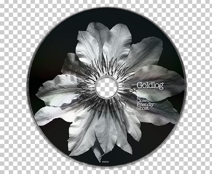 White PNG, Clipart, Black And White, Flora, Flower, Monochrome, Monochrome Photography Free PNG Download