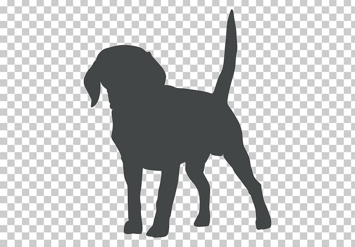 Dog Puppy Pet Veterinarian PNG, Clipart, Allergies In Dogs, Animals, Black, Black And White, Carnivoran Free PNG Download