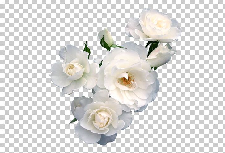 Flower Paper Rose Floristry Polyvore PNG, Clipart, Artificial Flower, Background White, Beautiful, Black White, Cluster Free PNG Download