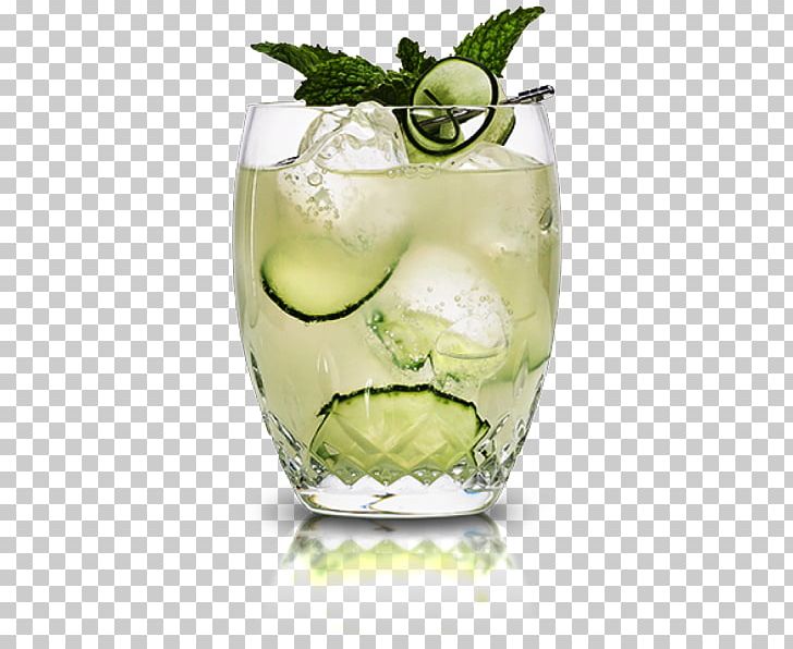 Rickey Caipiroska Mojito Caipirinha Vodka Tonic PNG, Clipart, Alcoholic Drink, Cocktail, Cocktail Garnish, Cointreau, Cucumber Free PNG Download