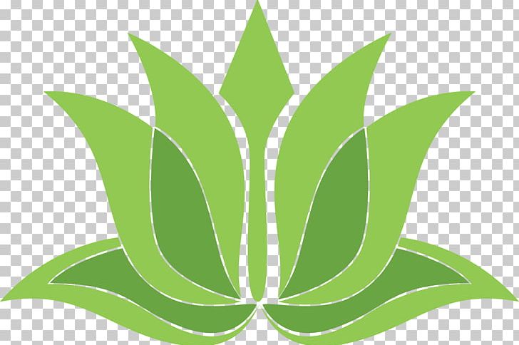 Symbol Sign Ornament Pattern PNG, Clipart, Creative Commons, Flora, Flower, Grass, Green Free PNG Download