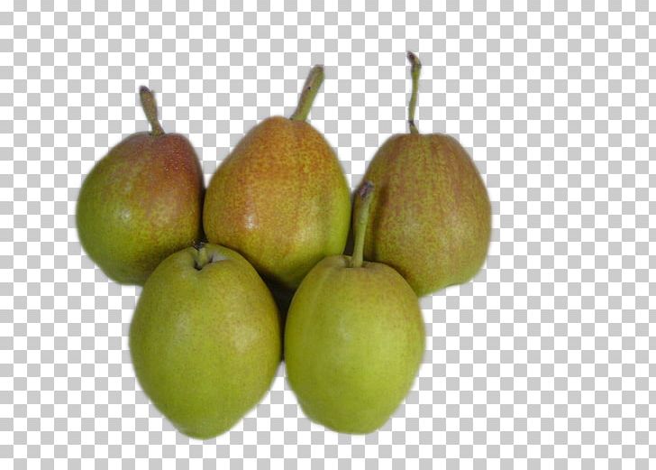 Asian Pear Pyrus Xd7 Bretschneideri Food PNG, Clipart, Apple, Asian Pear, Auglis, Clean, Delicious Free PNG Download