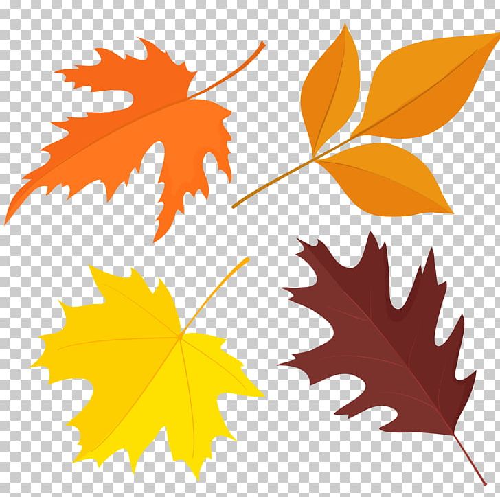 Leaf Autumn Euclidean Illustration PNG, Clipart, Angle, Autumn, Autumn Leaf Color, Branch, Color Free PNG Download