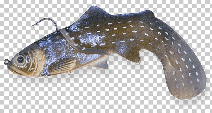 Northern Pike Muskellunge Trophy Technology Fish Angling PNG, Clipart, Angling, Animals, Bass, Boat, Fish Free PNG Download