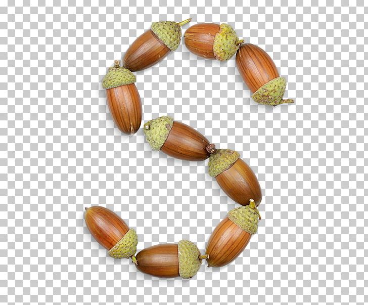 Nut Acorn Typography Typeface Font PNG, Clipart, Acorn, Commodity, Conkers, Copying, Food Free PNG Download