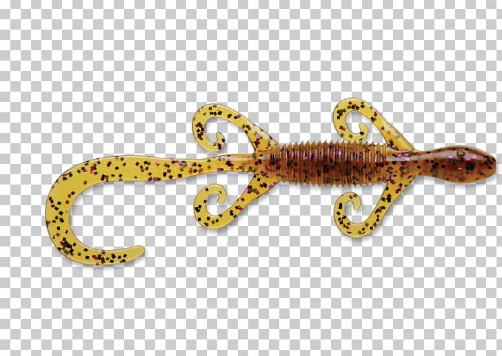 Reptile Body Jewellery Organism Animal PNG, Clipart, Animal, Animals, Body Jewellery, Body Jewelry, Jewellery Free PNG Download