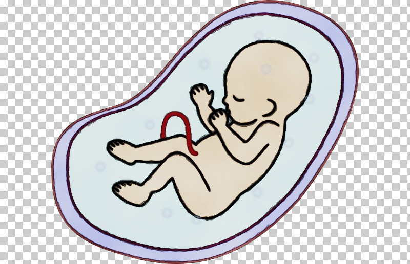 Kuchař Pavel Mudr. Gynekolog Royalty-free Fetus Uterus PNG, Clipart, Drawing, Embryo, Fetus, Paint, Pregnancy Free PNG Download