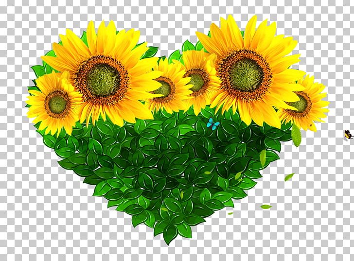 Leaf Heart PNG, Clipart, Annual Plant, Christmas Decoration, Cut Flowers, Daisy Family, Decora Free PNG Download