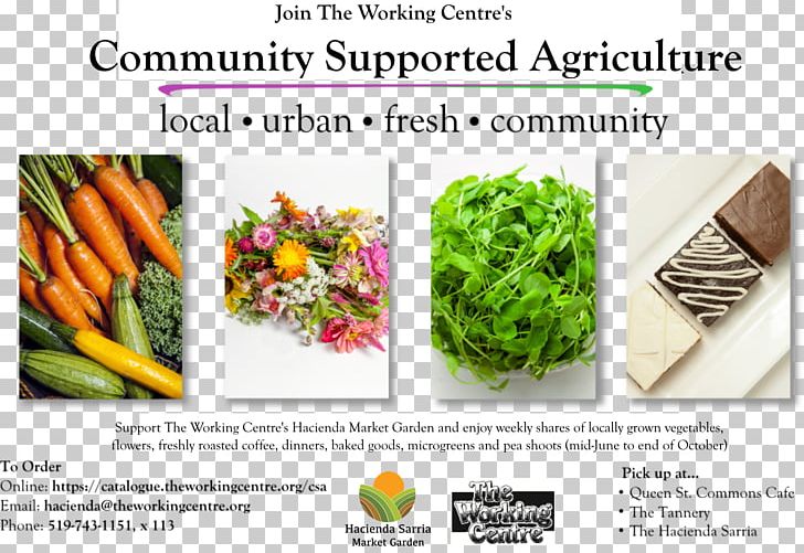 Leaf Vegetable Community-supported Agriculture Hacienda Sarria Market Garden (A Project Of The Working Centre) Food PNG, Clipart, Agriculture, Carrot, Community, Communitysupported Agriculture, Diet Food Free PNG Download