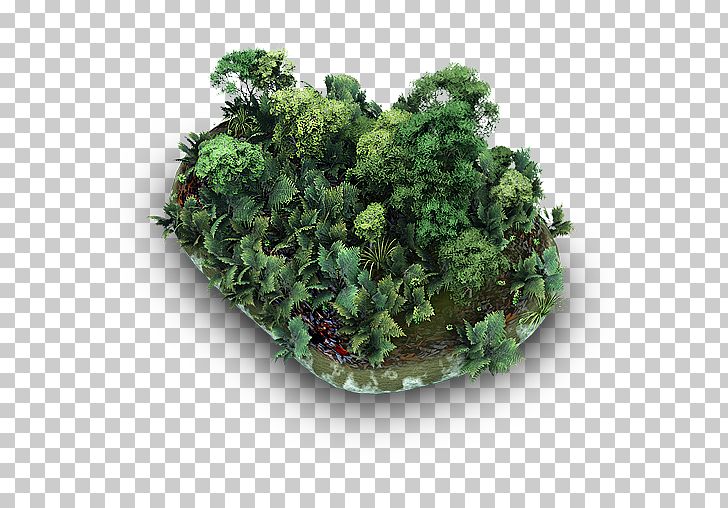 Plant Kale Herb Flowerpot Shrub PNG, Clipart, Avatar, Computer Icons, Desktop Environment, Download, Eco Health Free PNG Download