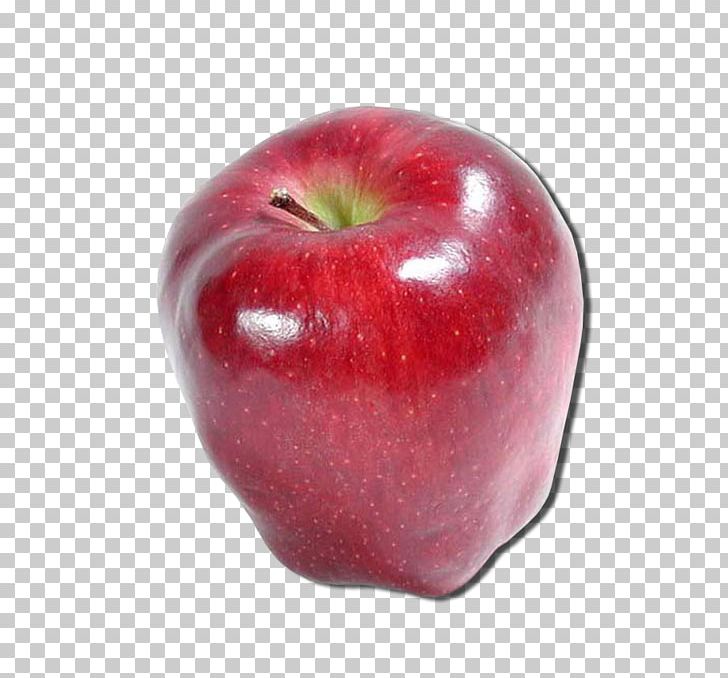 Apple Malus Sylvestris Fruit Seed AgroWorld 2018 PNG, Clipart, Accessory Fruit, Apple, Apples, Bean, Benih Free PNG Download