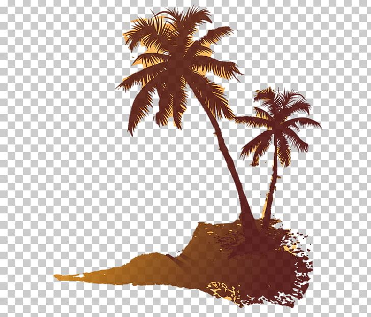 Bay Rum Coconut Arecaceae Pimenta Racemosa PNG, Clipart, Arecaceae, Arecales, Bay Leaf, Bay Rum, Beach Trees Free PNG Download