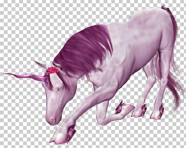 Unicorn Purple PNG, Clipart, Download, Encapsulated Postscript, Fantasy, Fictional Character, Frame Free Vector Free PNG Download
