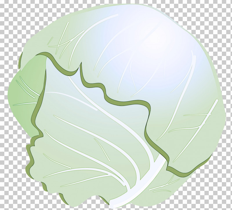 Cabbage Green Leaf Logo Plant PNG, Clipart, Cabbage, Green, Leaf, Logo, Plant Free PNG Download