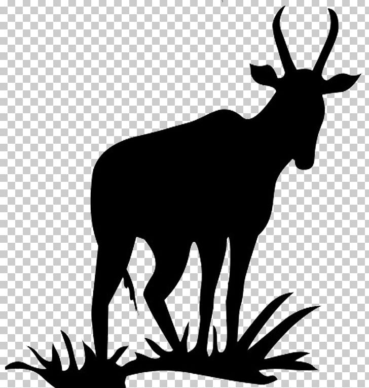 Antelope Pronghorn Deer Silhouette PNG, Clipart, Antelope, Antler, Black And White, Deer, Dog Bone Silhouette Free PNG Download