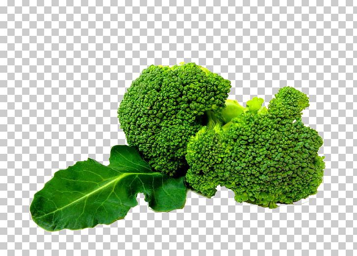 Broccoli Slaw Vegetable PNG, Clipart, Brassica Oleracea, Broccoli, Broccoli 0 0 3, Broccoli Art, Broccoli Dog Free PNG Download