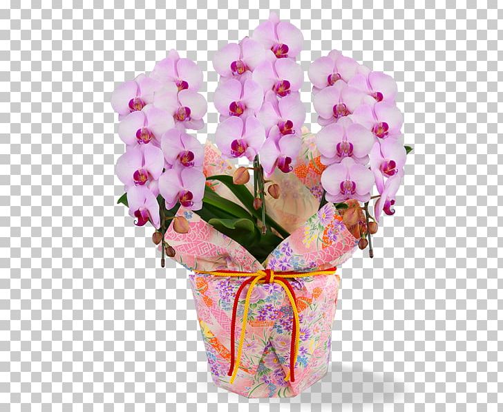 Phalaenopsis Aphrodite Cut Flowers Floral Design Flower Bouquet PNG, Clipart,  Free PNG Download
