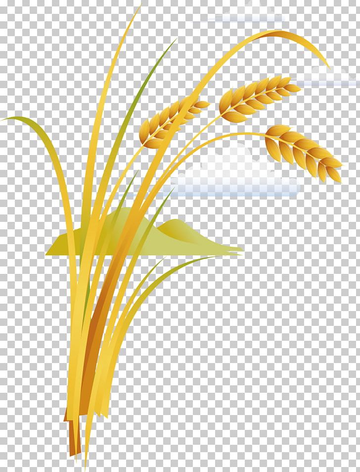 Rice Grauds PNG, Clipart, Cartoon, Commodity, Cooked Rice, Cut Flowers, Decorative Material Free PNG Download