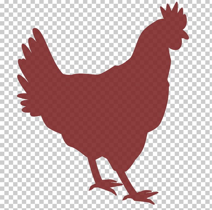Chicken As Food Poultry Rooster PNG, Clipart, Animals, Beak, Bird, Chick, Chicken Free PNG Download