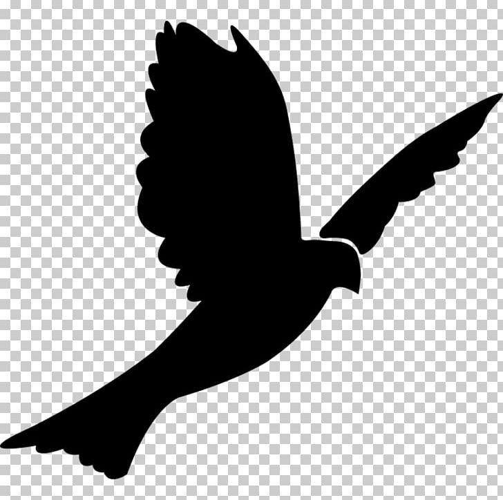 Columbidae Bird Rock Dove Silhouette PNG, Clipart, Animals, Art, Beak, Bird, Bird Flight Free PNG Download