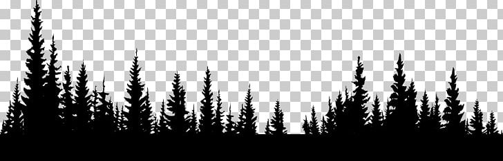 Forest Information PNG, Clipart, Black And White, Computer Wallpaper, Display Resolution, Download, File Size Free PNG Download