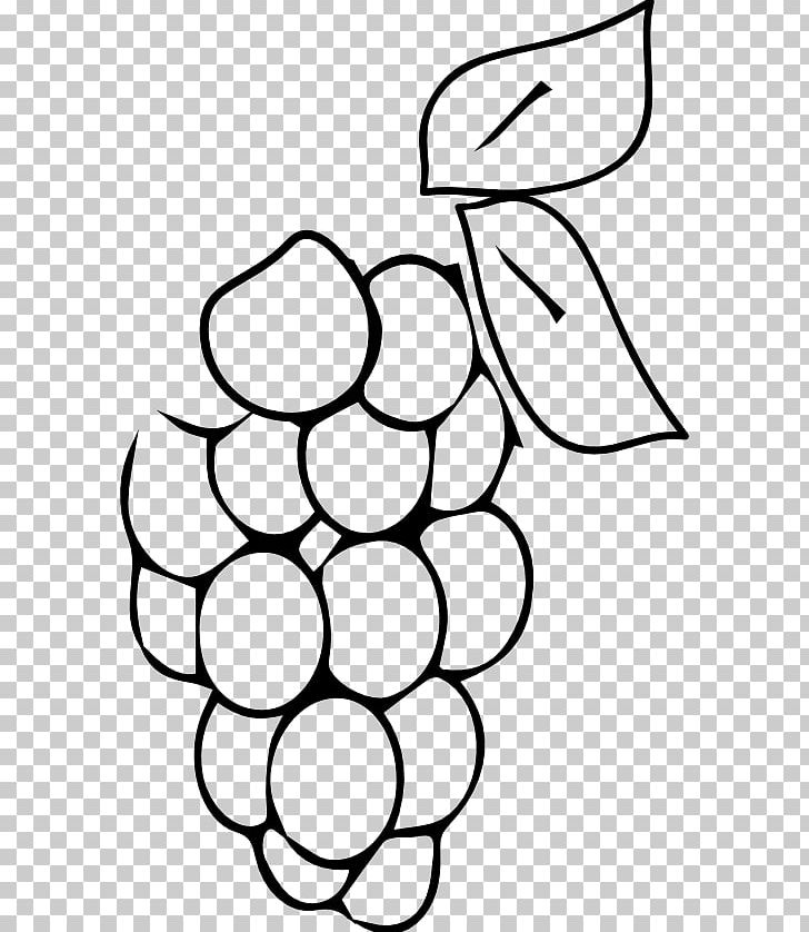 Grape Coloring Book Fruit Berry Drawing PNG, Clipart, Apple, Ausmalbild, Berry, Black, Black And White Free PNG Download