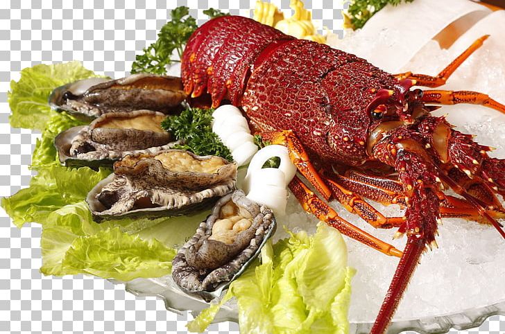 Lobster Seafood Palinurus Elephas Shrimp PNG, Clipart, Animals, Animal Source Foods, Cartoon Lobster, Cherax Quadricarinatus, Crayfish Free PNG Download