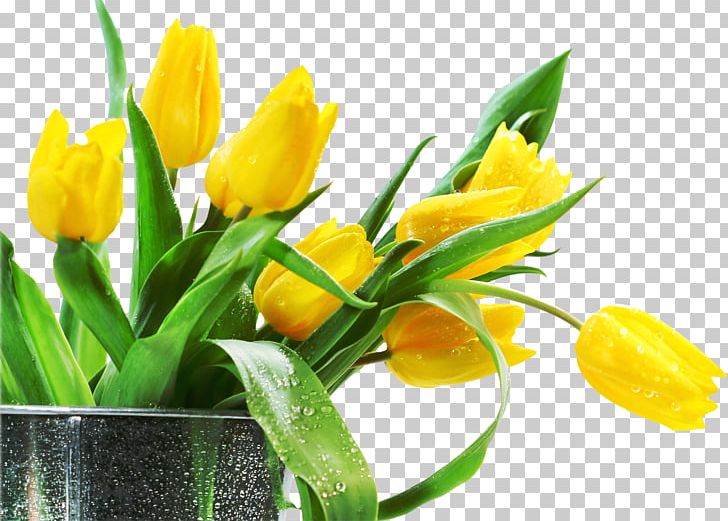 Artificial Flower Tulip Desktop PNG, Clipart, Artificial Flower, Bud, Bulb, Crocus, Cut Flowers Free PNG Download