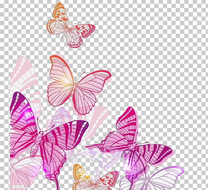 Butterfly PNG, Clipart, Butterflies, Cartoon, Color, Colour, Decorate Free PNG Download