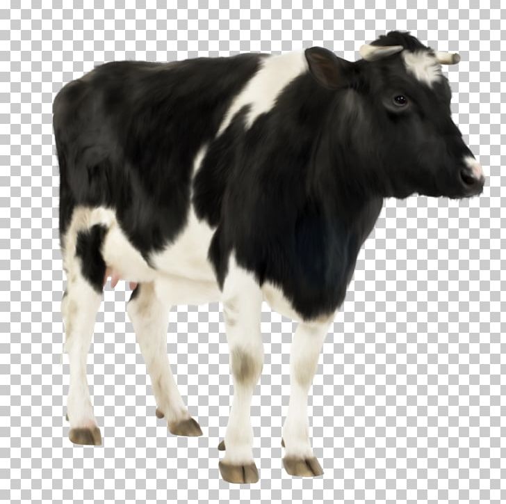 Holstein Friesian Cattle Hereford Cattle Calf Farm Livestock PNG, Clipart, Automatic Milking, Calf, Cattle, Cattle Like Mammal, Cow Free PNG Download
