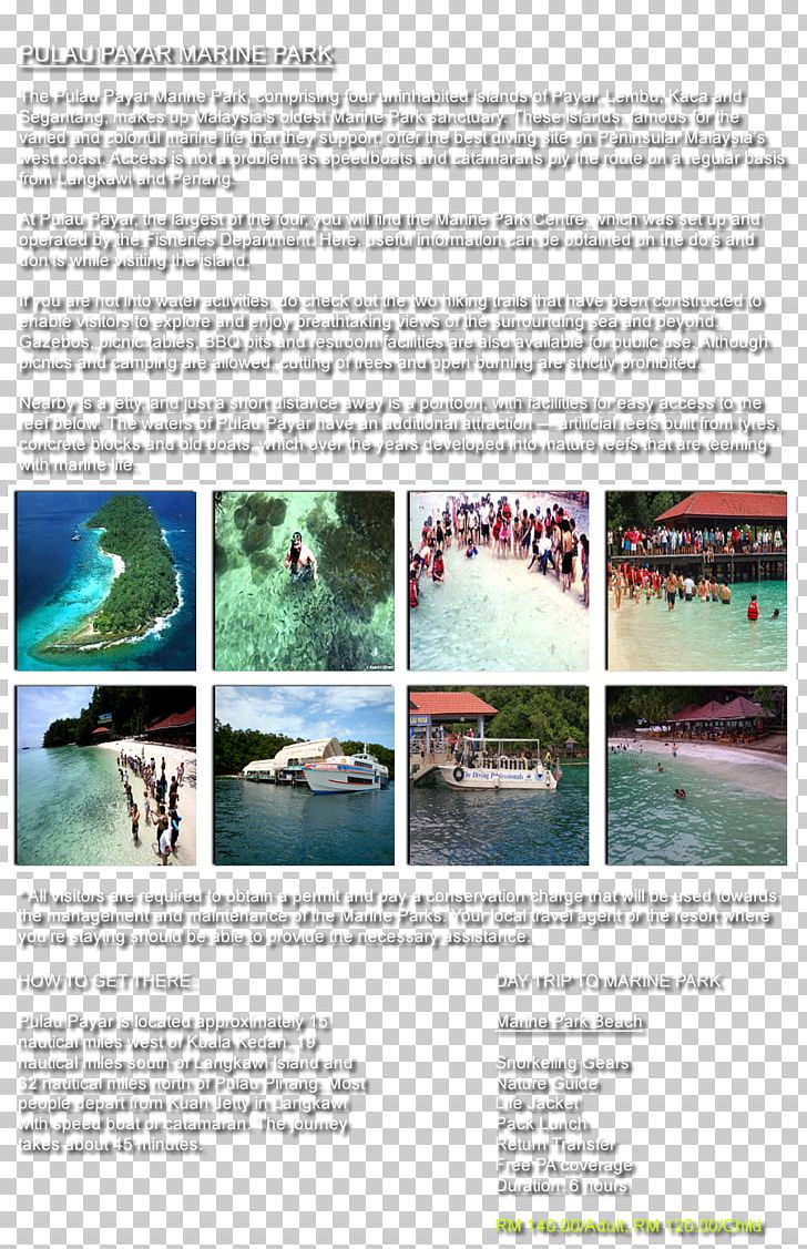 Payar Island Water Resources Newspaper Marine Park PNG, Clipart, Advertising, Berlin, Brochure, Island, Jan Wagner Free PNG Download