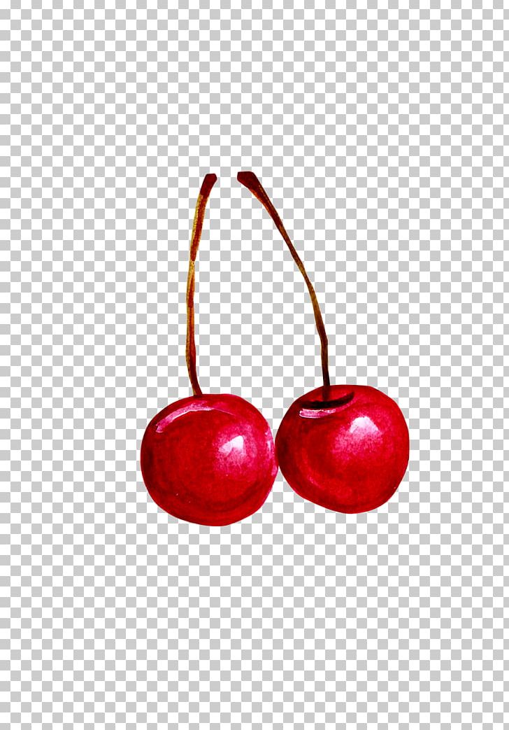 Cherry Fruit PNG, Clipart, Auglis, Autumn Leaves, Cartoon, Cherry, Cherry Blossom Free PNG Download