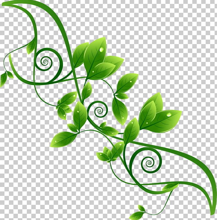 Environmental Protection Green PNG, Clipart, Branch, Clip Art, Encapsulated Postscript, Fine, Flower Free PNG Download
