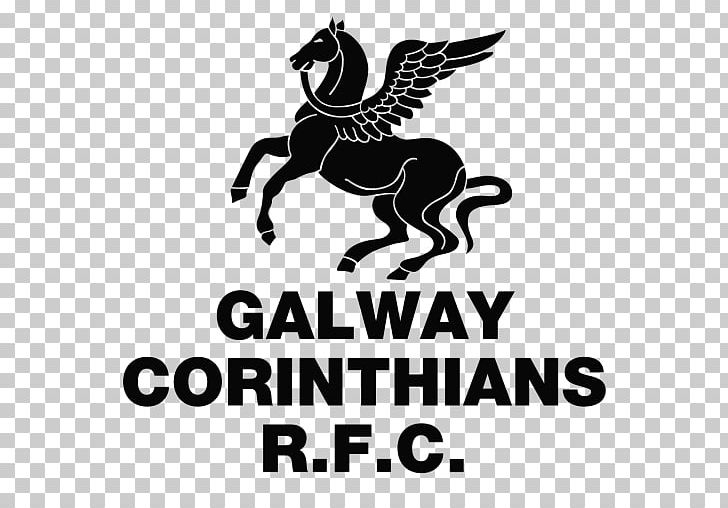 Galway Corinthians RFC Connacht Rugby Sligo RFC PNG, Clipart, Allireland League, Artwork, Black, Black And White, Brand Free PNG Download