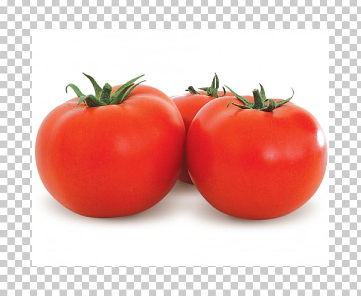 Plum Tomato Bush Tomato Vegetarian Cuisine Food PNG, Clipart, Bush Tomato, Com, Diet, Diet Food, Food Free PNG Download