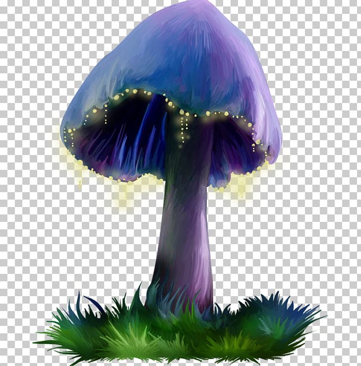 Purple Mushroom PNG, Clipart, Art, Blog, Cartoon, Download, Fauteuil Free PNG Download