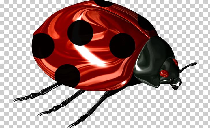 Ladybird Beetle Scarabs PNG, Clipart, Adobe Systems, Animals, Arthropod, Beetle, Bicycle Helmet Free PNG Download