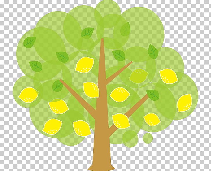 Tree PNG, Clipart, Circle, Clip Art, Document, Download, Fruit Free PNG Download